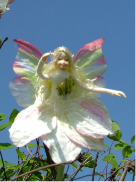 Elfka z Magnolie